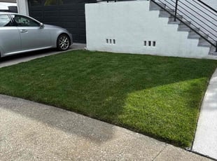 Alicia h.'s lawn care service result