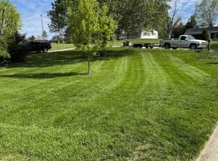 Jason P.'s grass maintenance service result