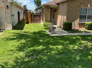 Daniella N.'s turf care service result