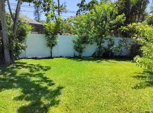 Michelle M.'s lawn maintenance service result