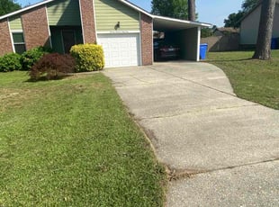 Cecile L.'s lawn maintenance service result