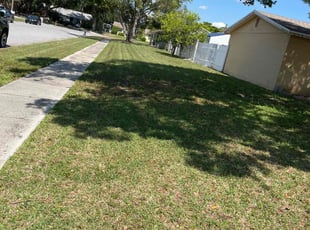 Cynthia C.'s grass maintenance service result