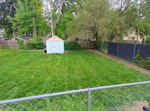 Kate N.'s lawn care services service result