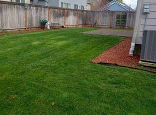 Spyder O.'s lawn service service result