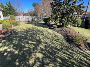 Patricia A.'s lawn maintenance service result