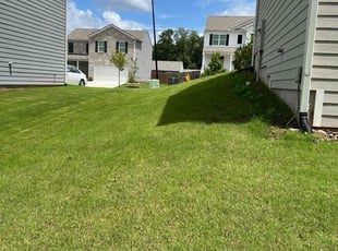 Deborah F.'s grass maintenance service result