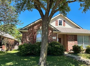 Seth S.'s turf care service result