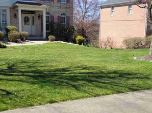 Angela C.'s turf maintenance service result
