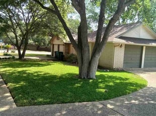 Patrick S.'s lawn care service result