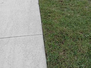 Amanda N.'s grass cutting service result