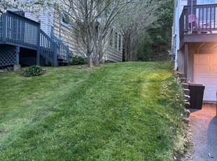 Kyle G.'s lawn maintenance service result