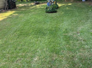 Alyson W.'s lawn care services service result