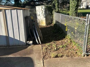 Jon H.'s Leaf Removal service result