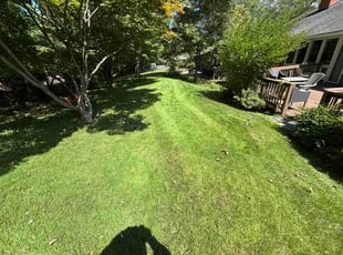 Rebecca S.'s lawn maintenance service result