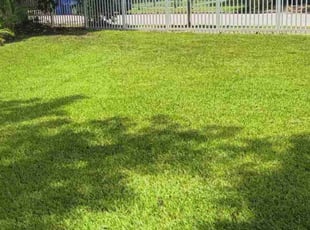 Kerrie B.'s lawn care service result