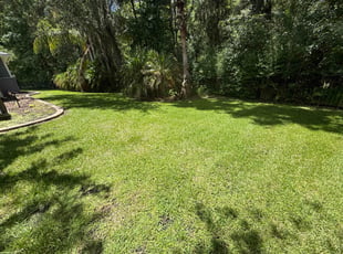 Jaylyn S.'s lawn care service result