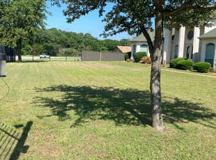 Laurie C.'s grass cutting service result