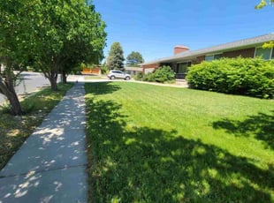 DJ B.'s lawn care service result