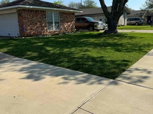 Hakan N.'s lawn care services service result