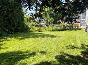 William K.'s grass cutting service result