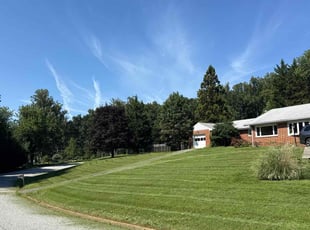 Sara C.'s turf care service result