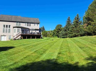 Michael W.'s turf care service result