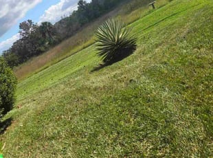 Lonnie S.'s lawn care service result