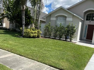 Andrew A.'s turf maintenance service result