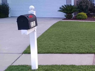Katrina S.'s turf care service result