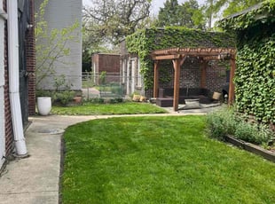 Antonio P.'s turf care service result