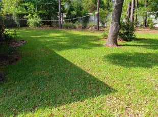 Amy B.'s grass maintenance service result