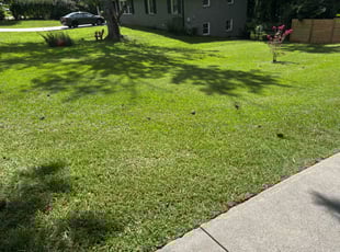 John D.'s turf maintenance service result