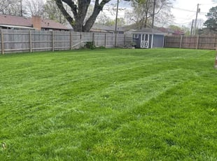 Cynthia V.'s lawn service service result