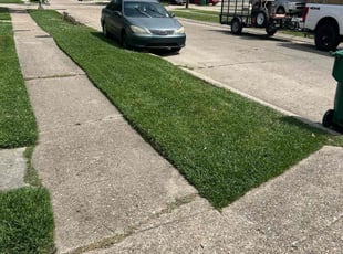 David G.'s turf maintenance service result