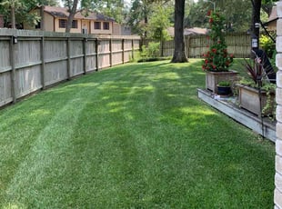 Donna S.'s grass maintenance service result