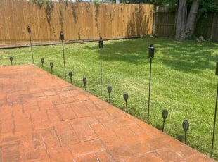 Anita W.'s turf care service result