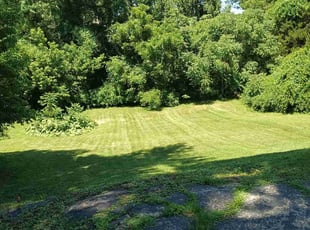 Jeremy O.'s lawn service service result