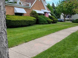 Ramzi A.'s lawn maintenance service result