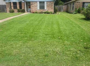 Shamekia J.'s grass cutting service result