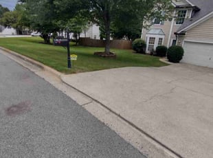 Jeff P.'s lawn maintenance service result