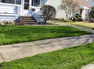 Jill H.'s lawn service service result