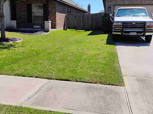 Jennifer H.'s turf care service result