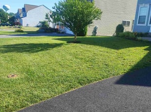 Laura M.'s lawn care services service result