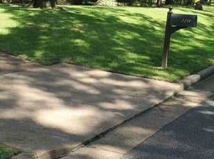 Lucille W.'s lawn maintenance service result