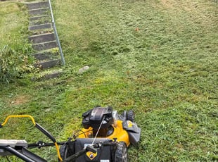 Danny W.'s turf care service result