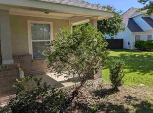 David R.'s Bush Trimming service result