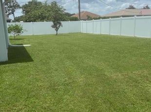 Kenneth C.'s lawn care services service result