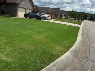 Edward C.'s yard care service result