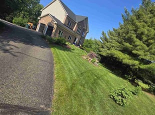 Cassandra B.'s turf maintenance service result