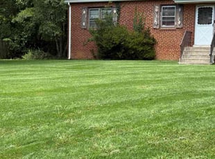 Sherif E.'s grass cutting service result